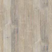 old wood 4