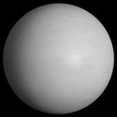 Plaster White 4