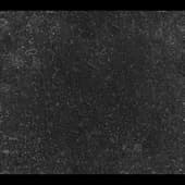 Stains_Liquid_13