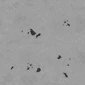 snow  with ground spots 1