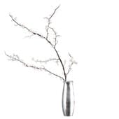 Plant828
