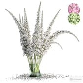 Flower In Vase