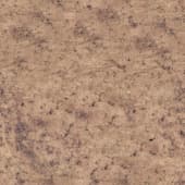 old  brown leather 1