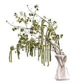 Plant847