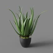Искусственное растение Aloe 67 cm (2)