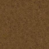 Ground GrassBrown0 03
