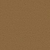 Ground MudCracked0 04