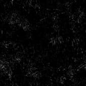 Scratches_14