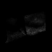 Finger_Print_32