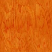 shiny wood 3