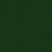 green  leather 4