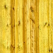 yellow wood