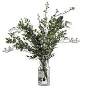 plant456