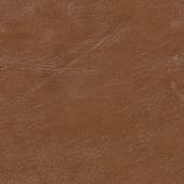 brown  leather 17