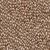 stone  pavement 4