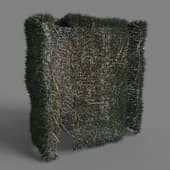 146 hedge v2