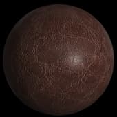 Leather 004