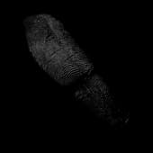 Finger_Print_37