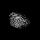 Finger_Print_44