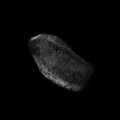 Finger_Print_36