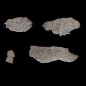 Plaster_Damage_Decals_09