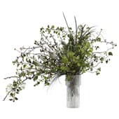 Plant431