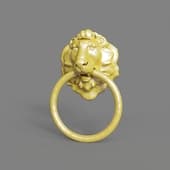 Lion head Ruchka dveri poli