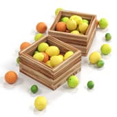 fruit023