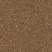 Ground Rocky0 04