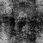 Dirt_63