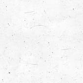 Dust (5)