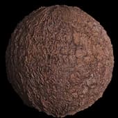 BarkDeciduous001 6K