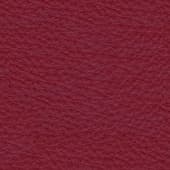 red  leather 7