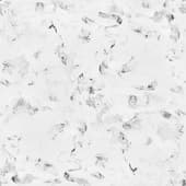 Dust (11)