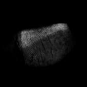 Finger_Print_31