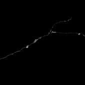 Plaster_Damage_Decals_26