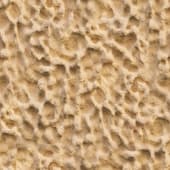 rough  sandstone