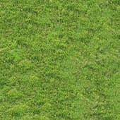 Grass_04