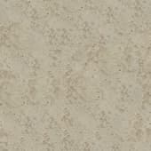 yellow concrete 2