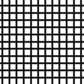 Base64