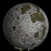 RockSpottyMoss002 6K
