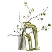 Plant836