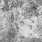 Dirt_55