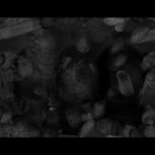 Fingerprints_15