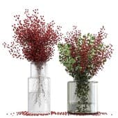 Plant434