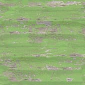 green painted old wood