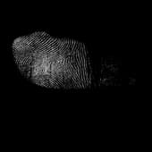 Finger_Print_12