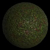 GroundDirtForestFlowers001 4K