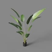 Искусственное растение Style Strelitzia 180 cm