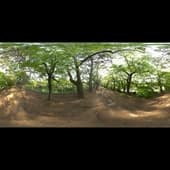 nagoya_wall_path_4k